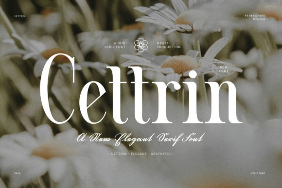 Cettrin: A Refined Serif Font for Modern Digital Brands