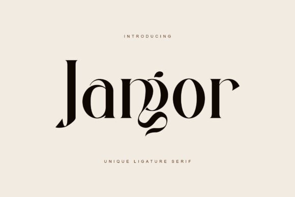 Jangor Serif Typeface for Professional Small Business Branding
