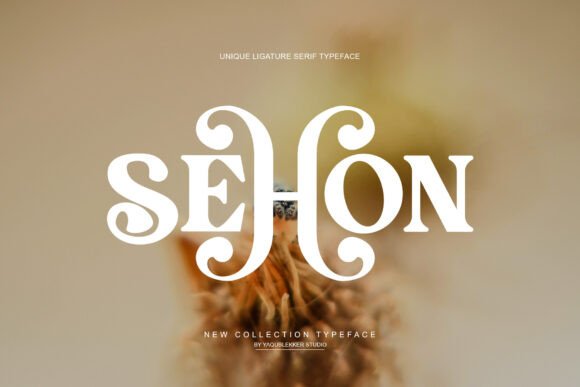 Sehon: A Serif Typeface That Elevates Marketing Visuals