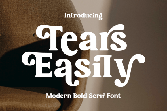 Tears Easily: A Bold Serif Font That Elevates Real Small Business Branding